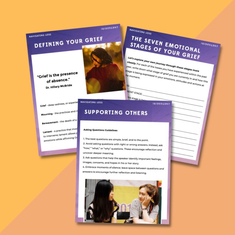 Navigating Loss: An Iridescent Guide and Bonus Webinar - Image 2