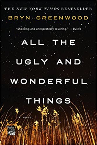 all the ugly and wonderful things book cover